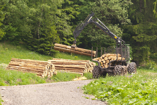 Aufbau Forstbetrieb in Rumänien